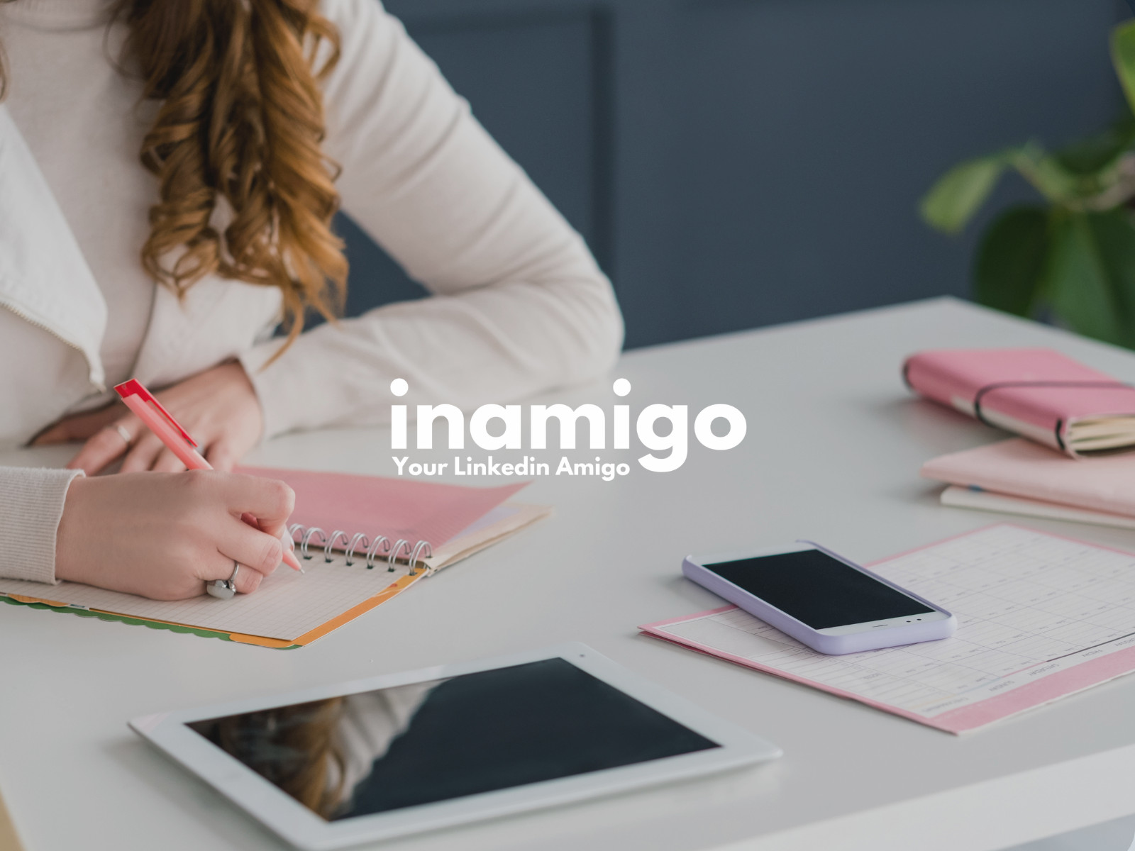Inamigo web design & strategy
