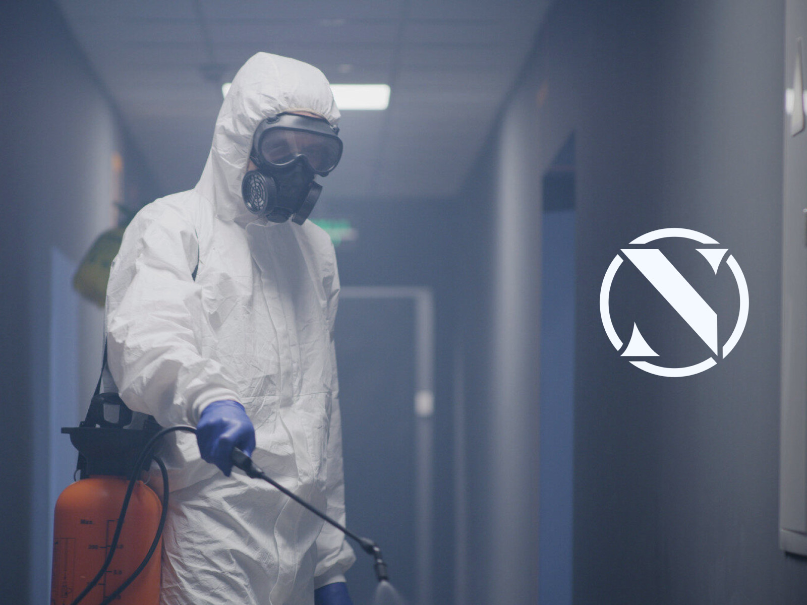 NJS Pest control web design 0.1
