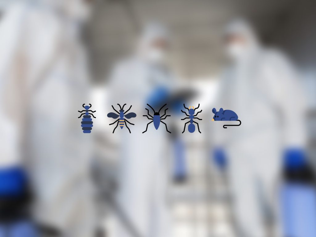 NJS Pest control web design 0.4