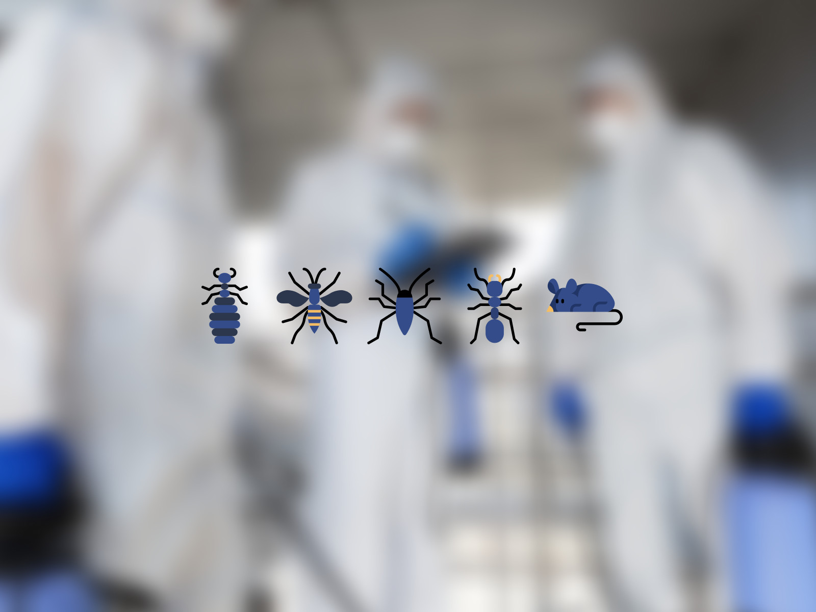 NJS Pest control web design 0.4