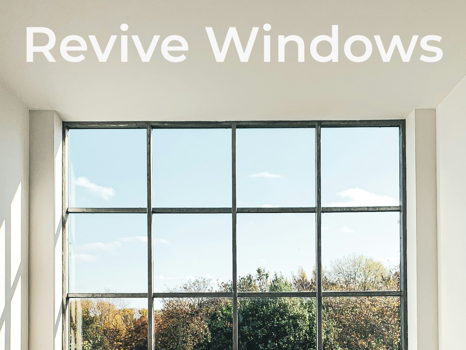 Revive windows 0.1